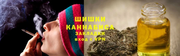 PSILOCYBIN Переславль-Залесский