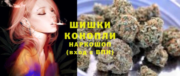 амф Пересвет